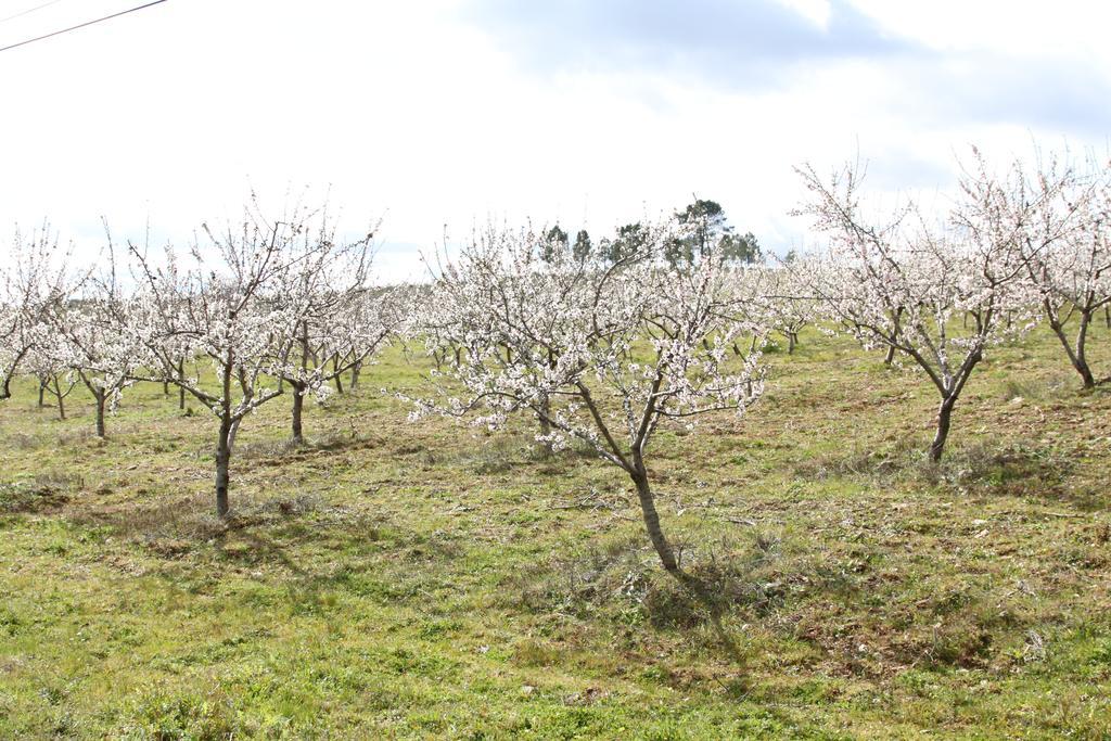 Alojamento Rural De Vales Vales  Buitenkant foto
